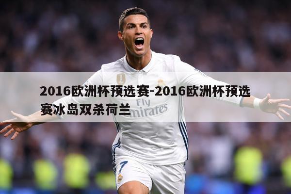 2016欧洲杯预选赛-2016欧洲杯预选赛冰岛双杀荷兰