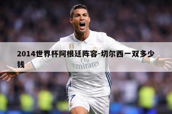 2014世界杯阿根廷阵容-切尔西一双多少钱
